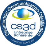 Logo cs3d