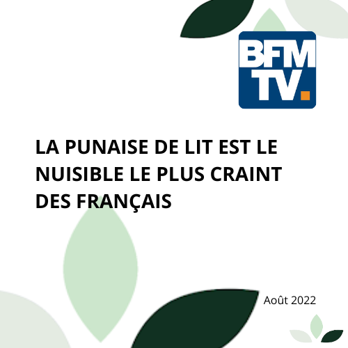 Reportage BFM TV punaises de lit 2022