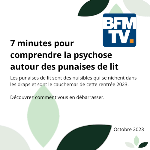 Reportage BFM TV punaises de lit