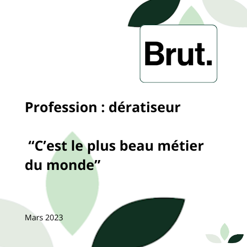 Article Brut