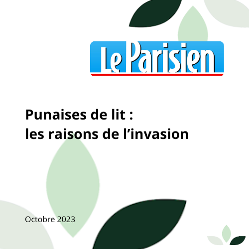 Article Le Parisien punaises de lit