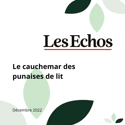 Article Les Echos