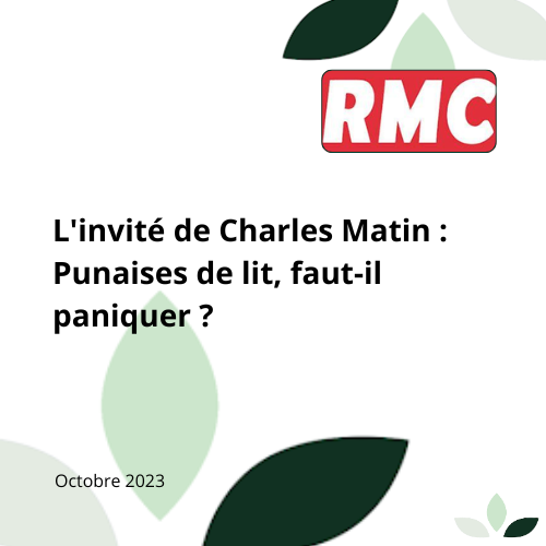 Reportage RMC punaises