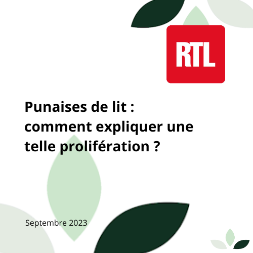 Reportage RTL punaises